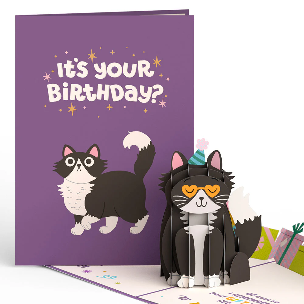 Birthday Cats 3-Pack - Image 5