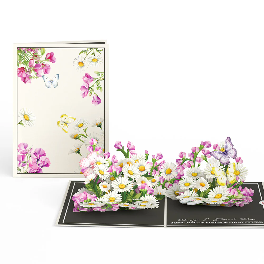 Born to Bloom: A Year of Birth Month Flowers 12-Pack - Image 11