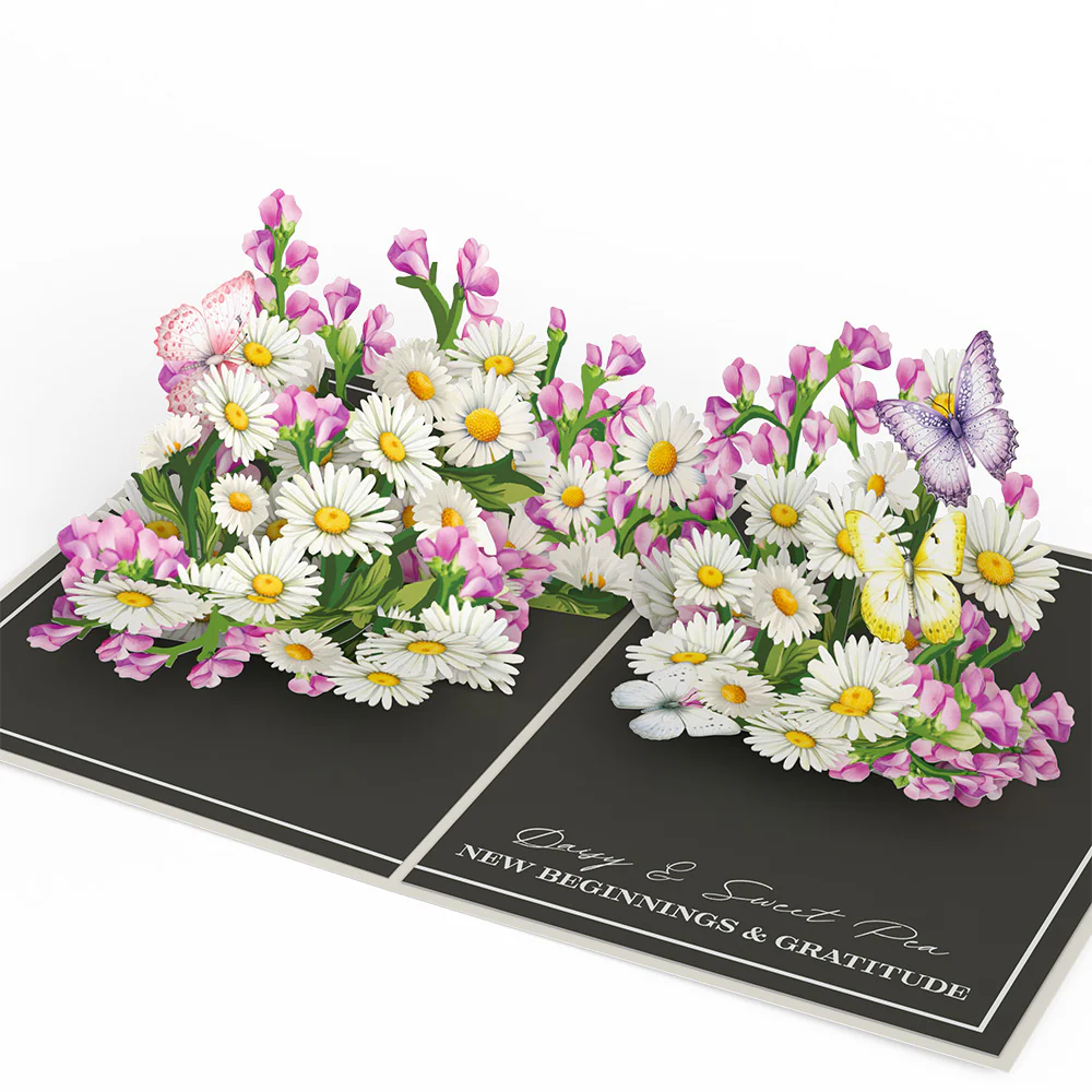 Born to Bloom: A Year of Birth Month Flowers 12-Pack - Image 12