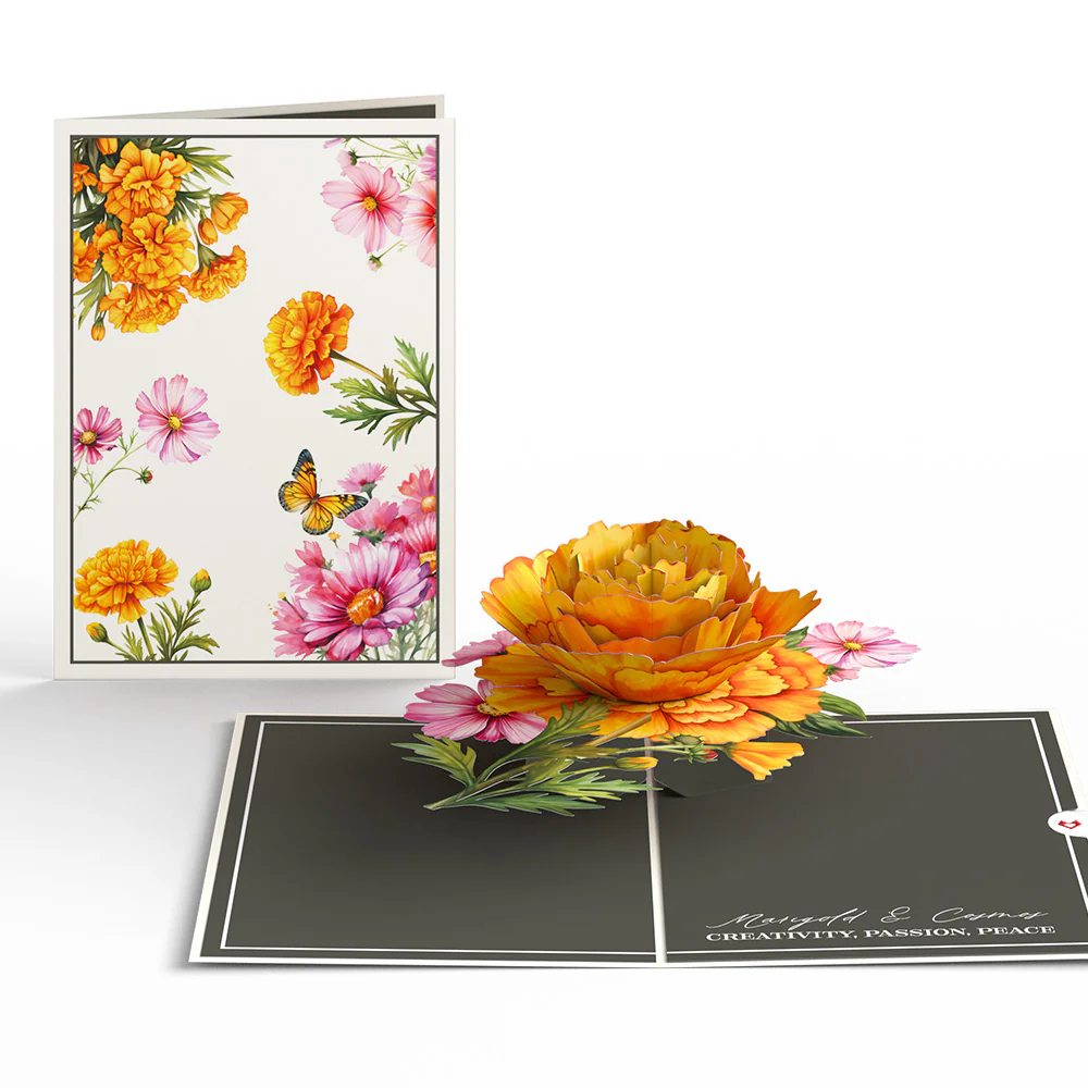 Born to Bloom: A Year of Birth Month Flowers 12-Pack - Image 29