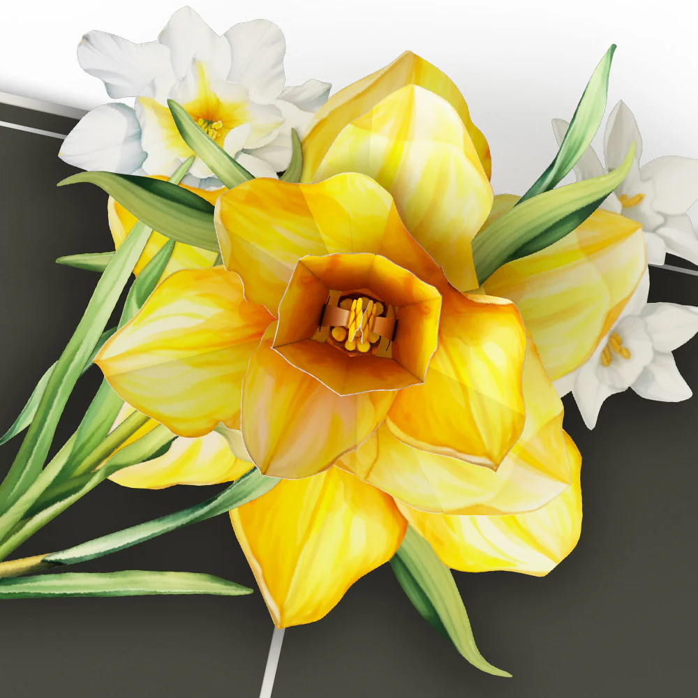 Born to Bloom: A Year of Birth Month Flowers 12-Pack - Image 9
