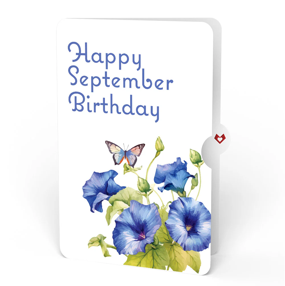 Born to Bloom: September Birth Month Flowers Pop-Up Card and Morning Glory Sentiment Set - Image 4