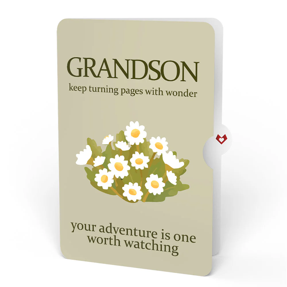 Cheers to a New Chapter Birthday Pop-Up Card and Sentiment Set for Grandson - Image 4