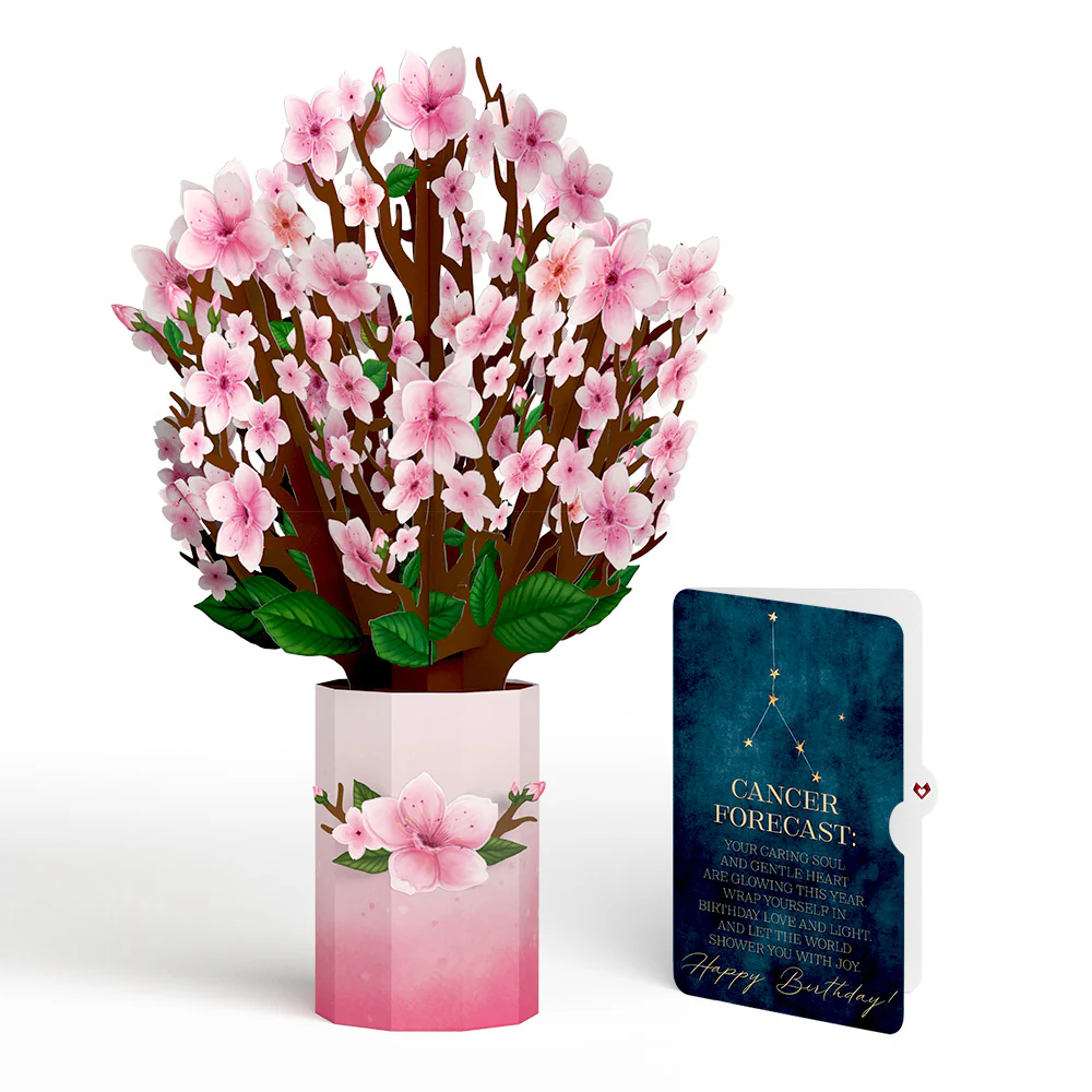 Cherry Blossom Birthday Bouquet and Cancer Zodiac Sentiment Set