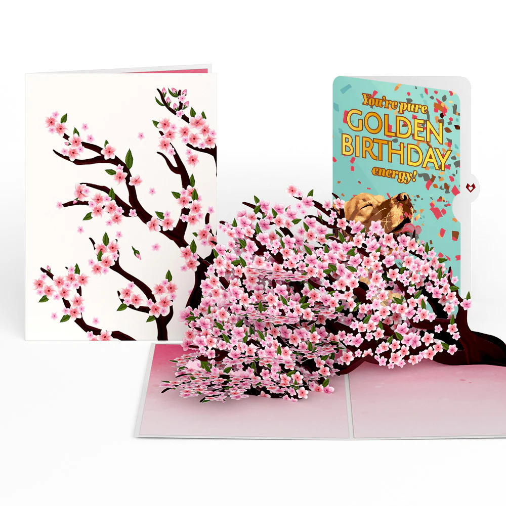 Cherry Blossom Branches in Bloom Birthday Pop-Up Card and Golden Energy Sentiment Set