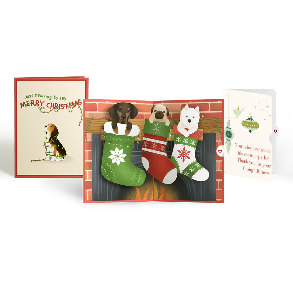 Christmas Dog Stockings Pop-Up Card and Sentiment Set