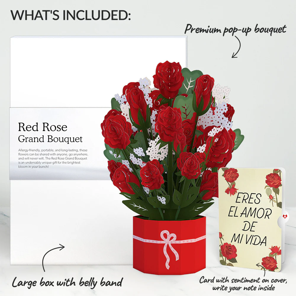 Red Rose Eres El Amor De Mi Vida Valentine Grand Bouquet and Sentiment Set - Image 2