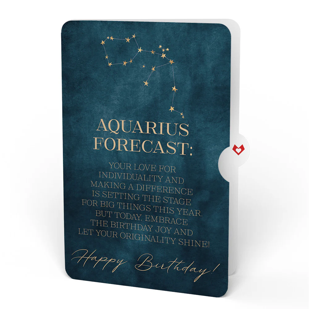 Hydrangea Birthday Bouquet and Aquarius  Zodiac Sentiment Set - Image 4