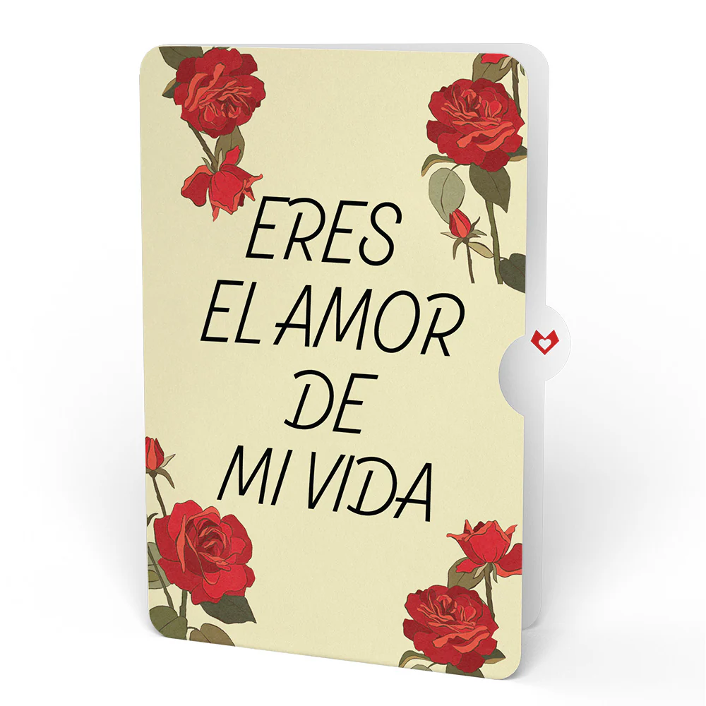 Romantic Red Roses Eres El Amor De Mi Vida Valentine Bouquet and Sentiment Set - Image 4