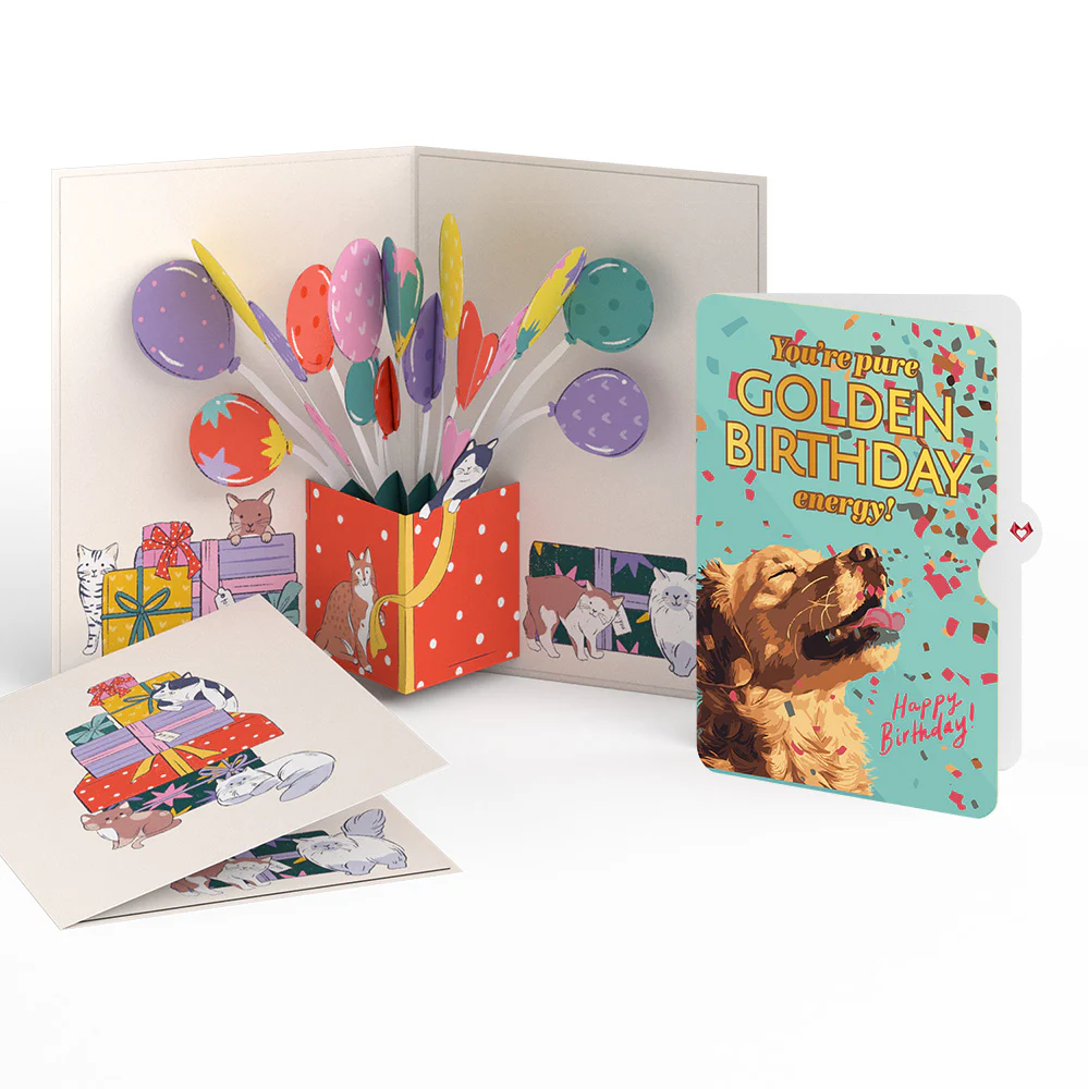 Curious Cats Birthday Pop-Up Card and Golden Energy Sentiment Set