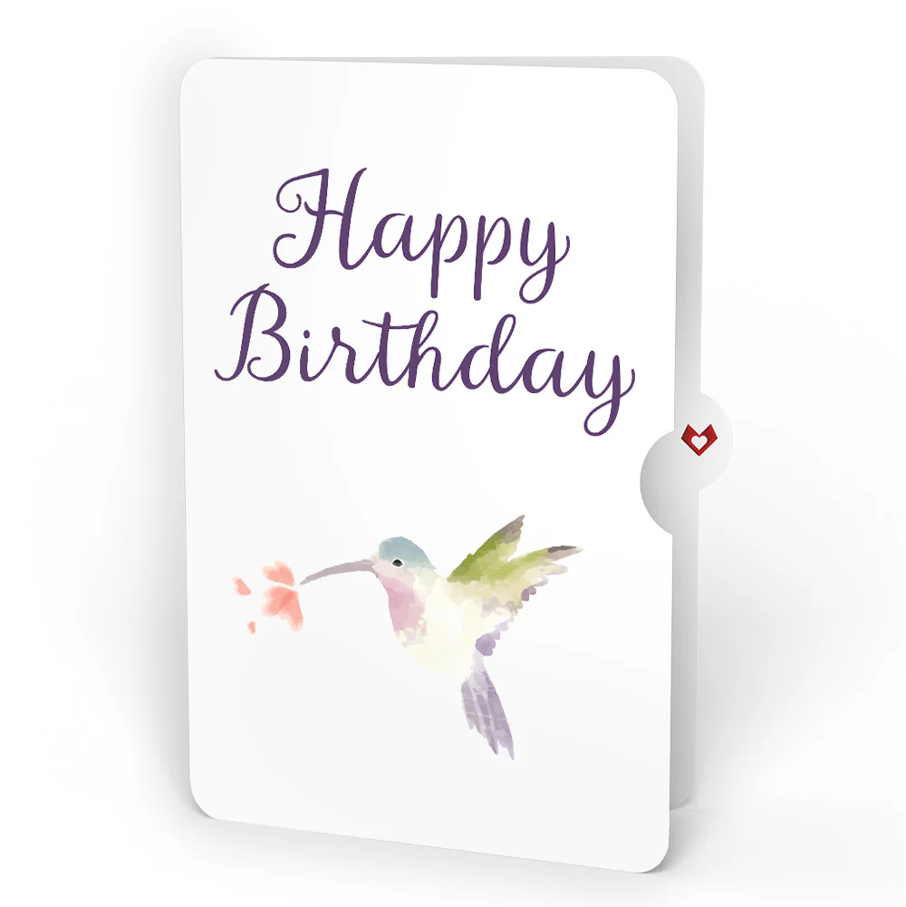 Daisy Patch Hummingbirds Birthday Pop-Up Card and Hummingbird Kisses Sentiment Set - Image 4