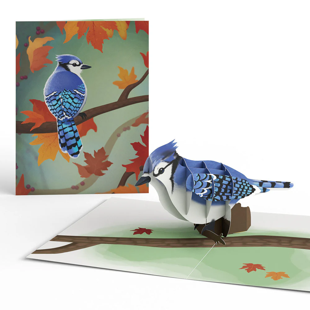 Fall Bird Box Set (Assorted 12-pack): Paperpop® Card - Image 3