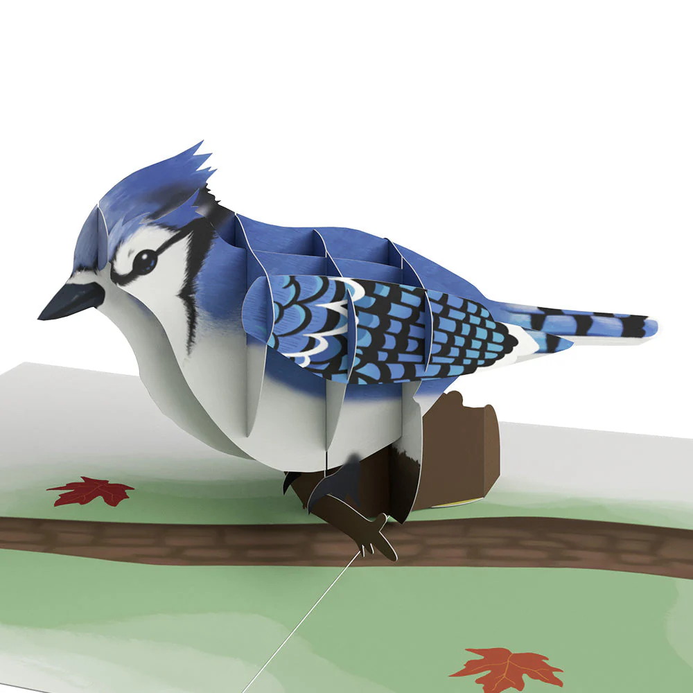 Fall Bird Box Set (Assorted 12-pack): Paperpop® Card - Image 4