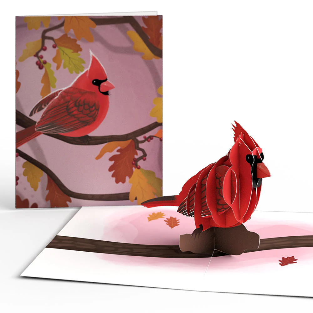 Fall Bird Box Set (Assorted 12-pack): Paperpop® Card - Image 7