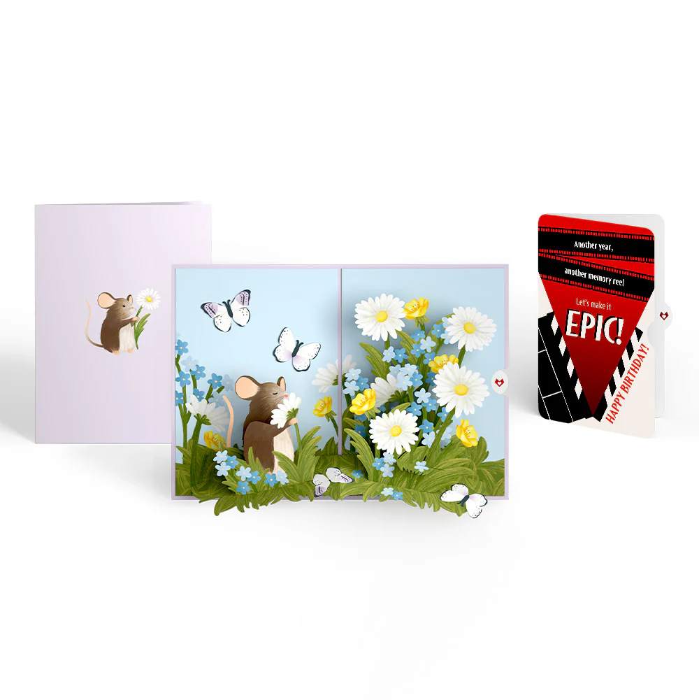 Field Mouse in the Flowers Birthday Pop-Up Card and Epic Reel Sentiment Set