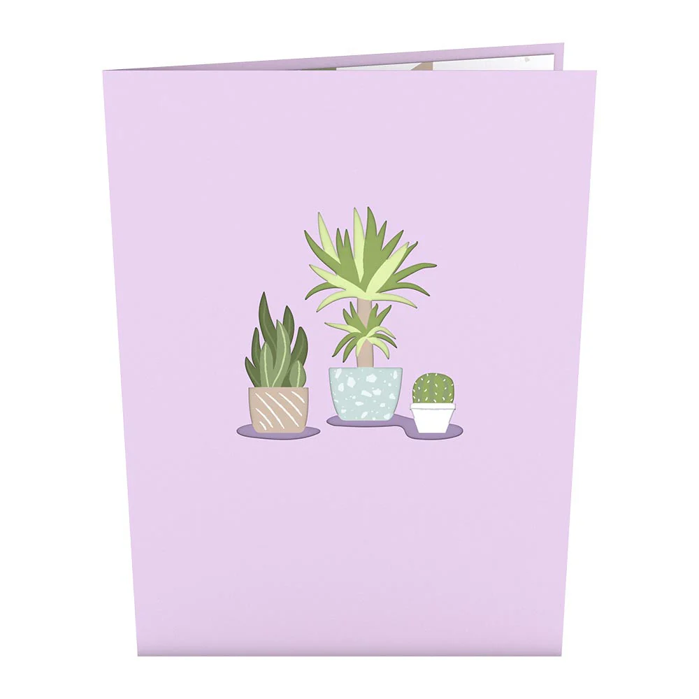 Greenhouse Plant Bundle - Image 5