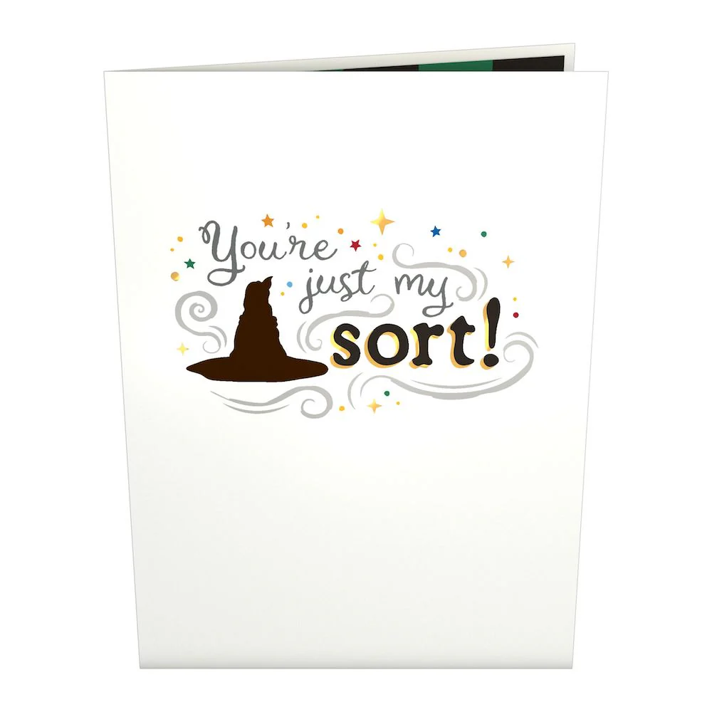 Harry Potter™ You're Just My Sort Pop-Up Card - Image 6