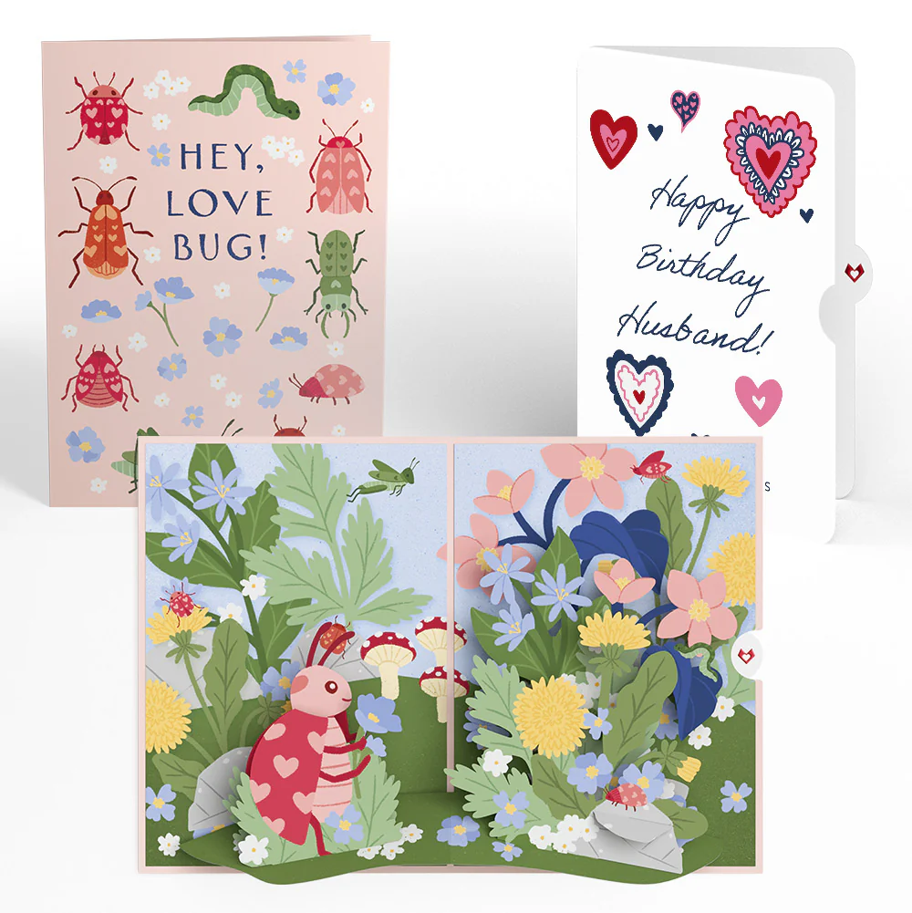 Hey, Love Bug! Pop-Up Card and Heart Motif Birthday Sentiment Set for Husband