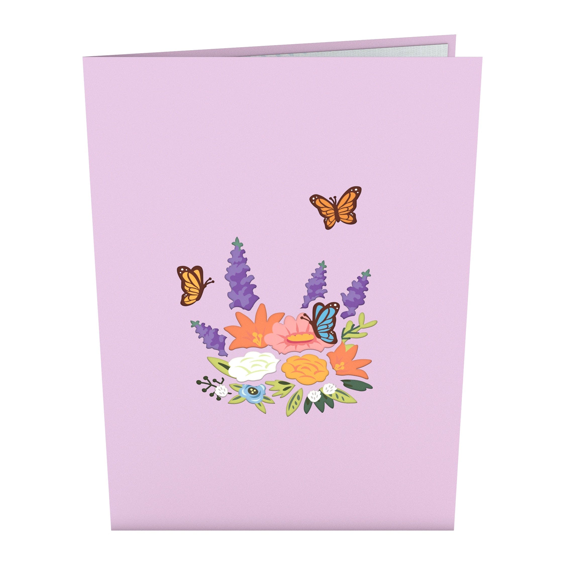 I Lava You and Everyday Favorites 3-Pack - Image 6