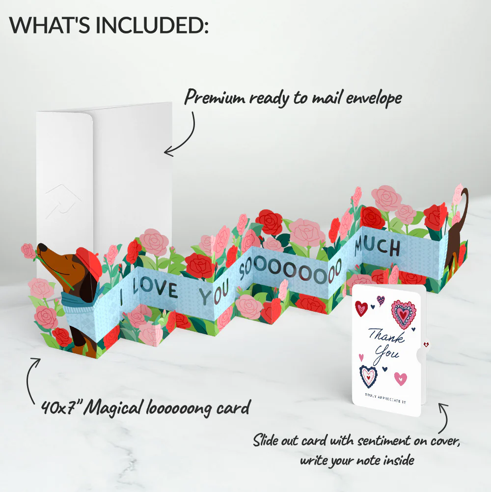 Love You So Much Dog Thank You Loooooong Card™ (Expands to 2 feet) and Sentiment Set - Image 2