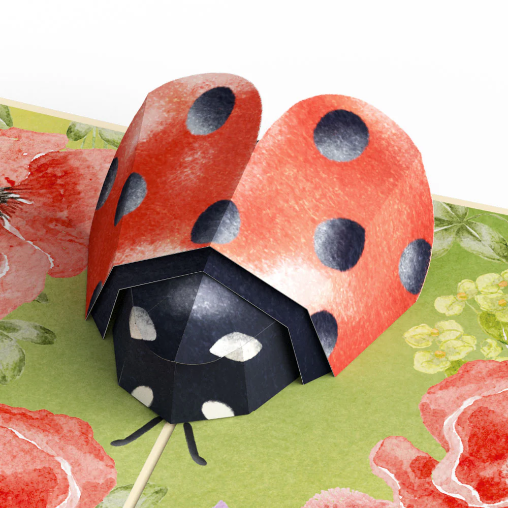 Lovely Ladybug Pop-Up Card - Image 2