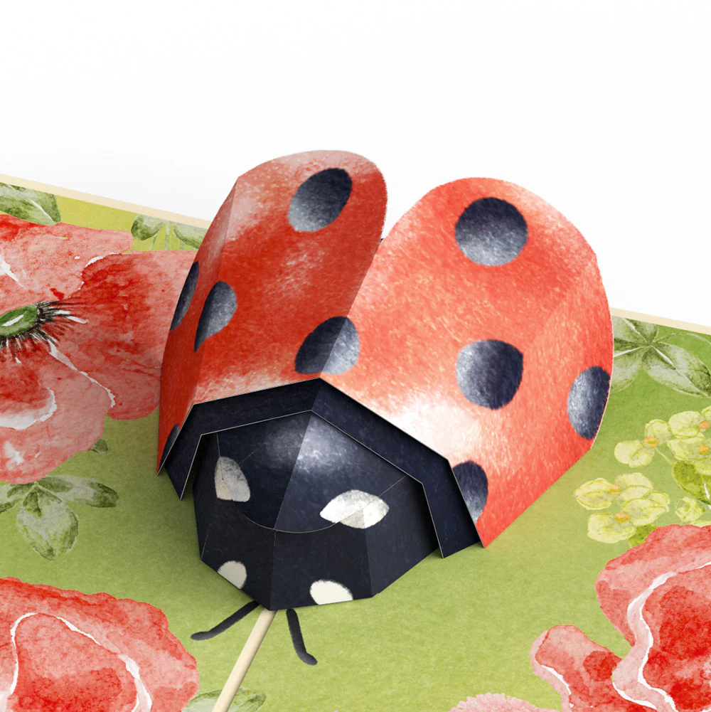 Lovely Ladybug Sympathy Pop-Up Card and Sentiment Set - Image 3