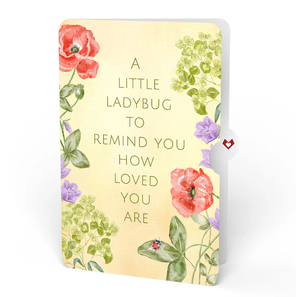 Lovely Ladybug Thinking of You Pop-Up Card and Sentiment Set - Image 4