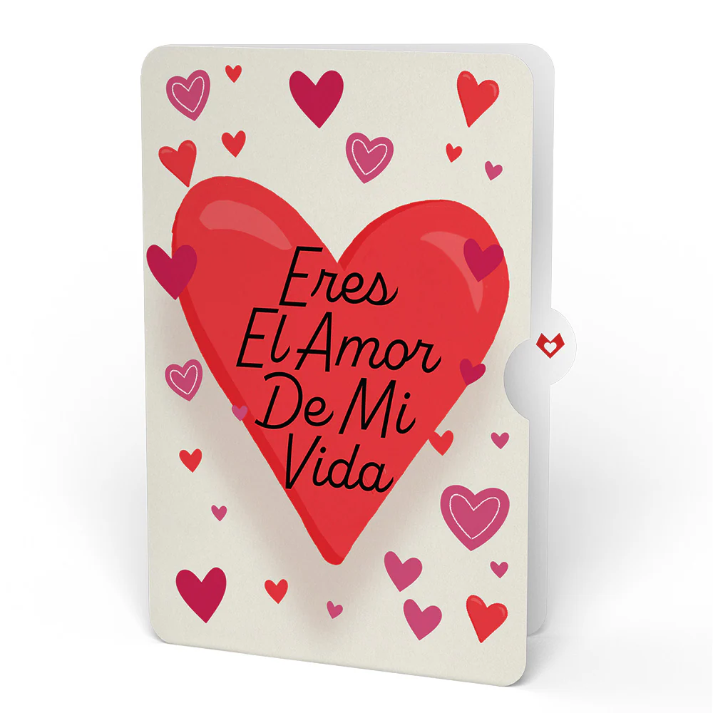You're All That and Dim Sum Eres El Amor De Mi Vida Valentine Pop-Up Card and Sentiment Set - Image 4
