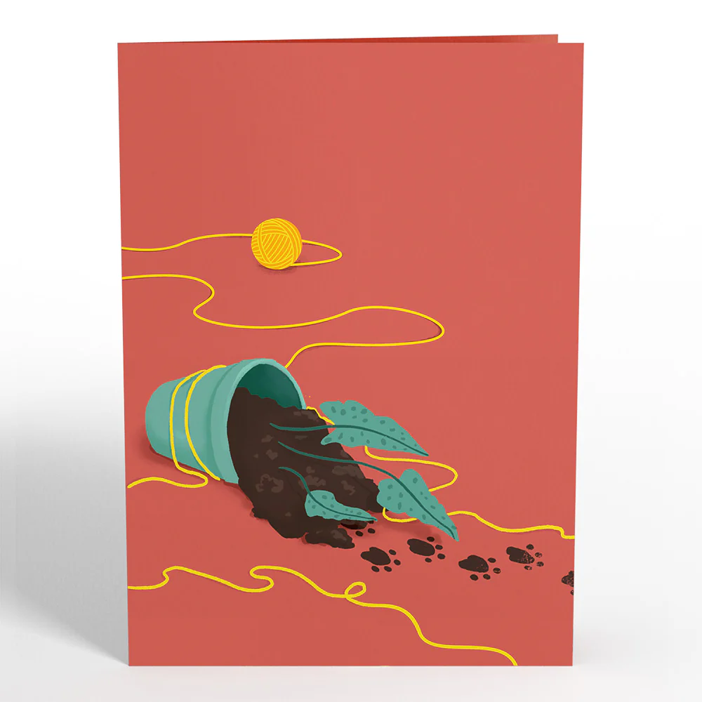 Mischievous Cat Pop-Up Card - Image 4