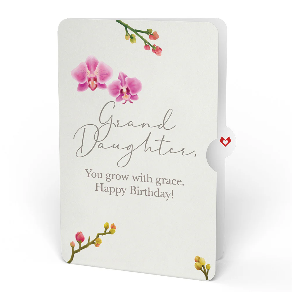 Orchid Birthday Bouquet and Sentiment Set for Granddaughter  - Image 4