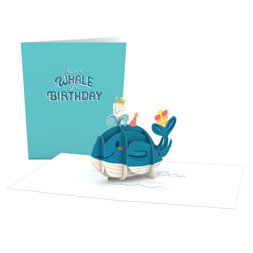 Paperpop Birthday Box Set (Assorted 24-Pack): Paperpop® Card - Image 12