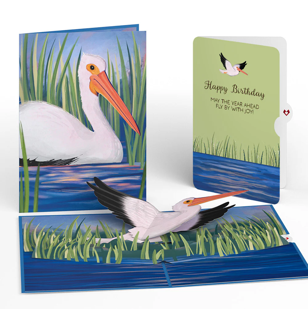 Pelican in the Marsh Birthday Pop-Up Card and Sentiment Set
