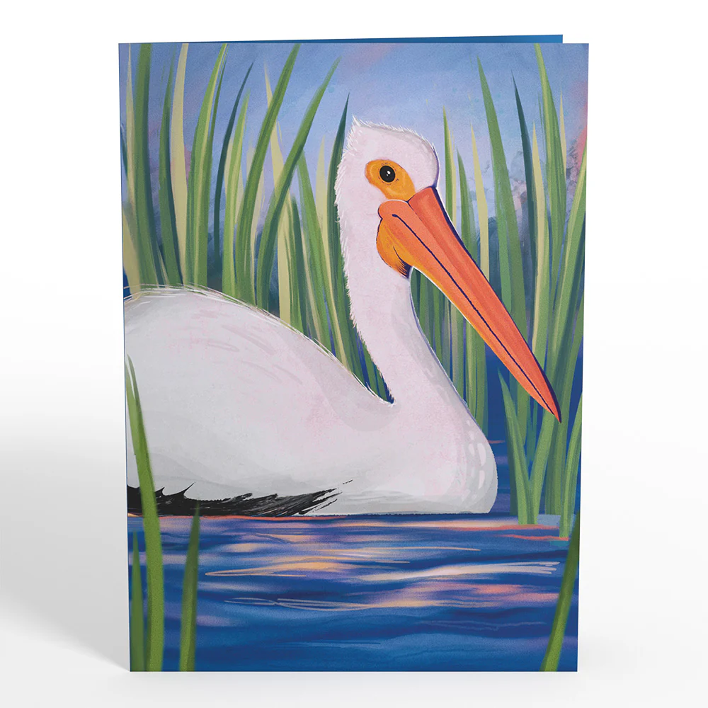 Pelican in the Marsh Pop-Up Card - Image 4