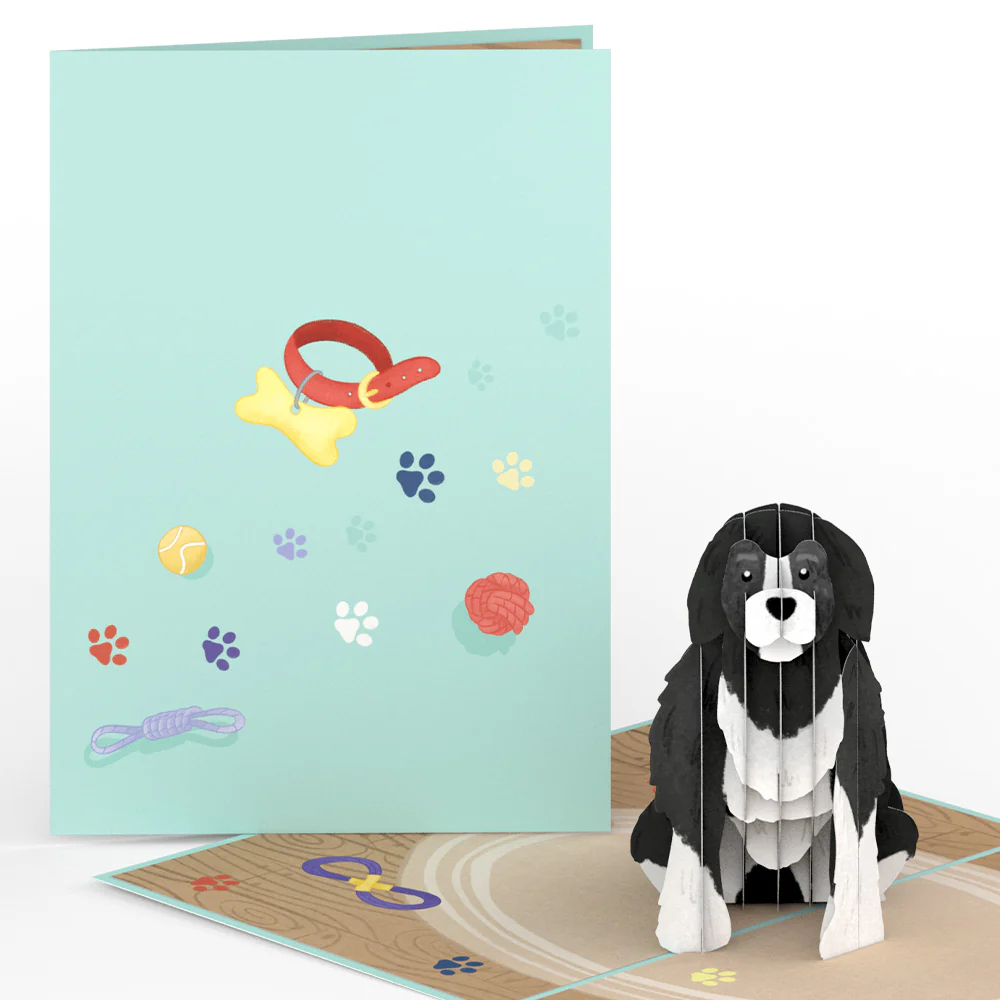 Playful Dog Pop-Up Card