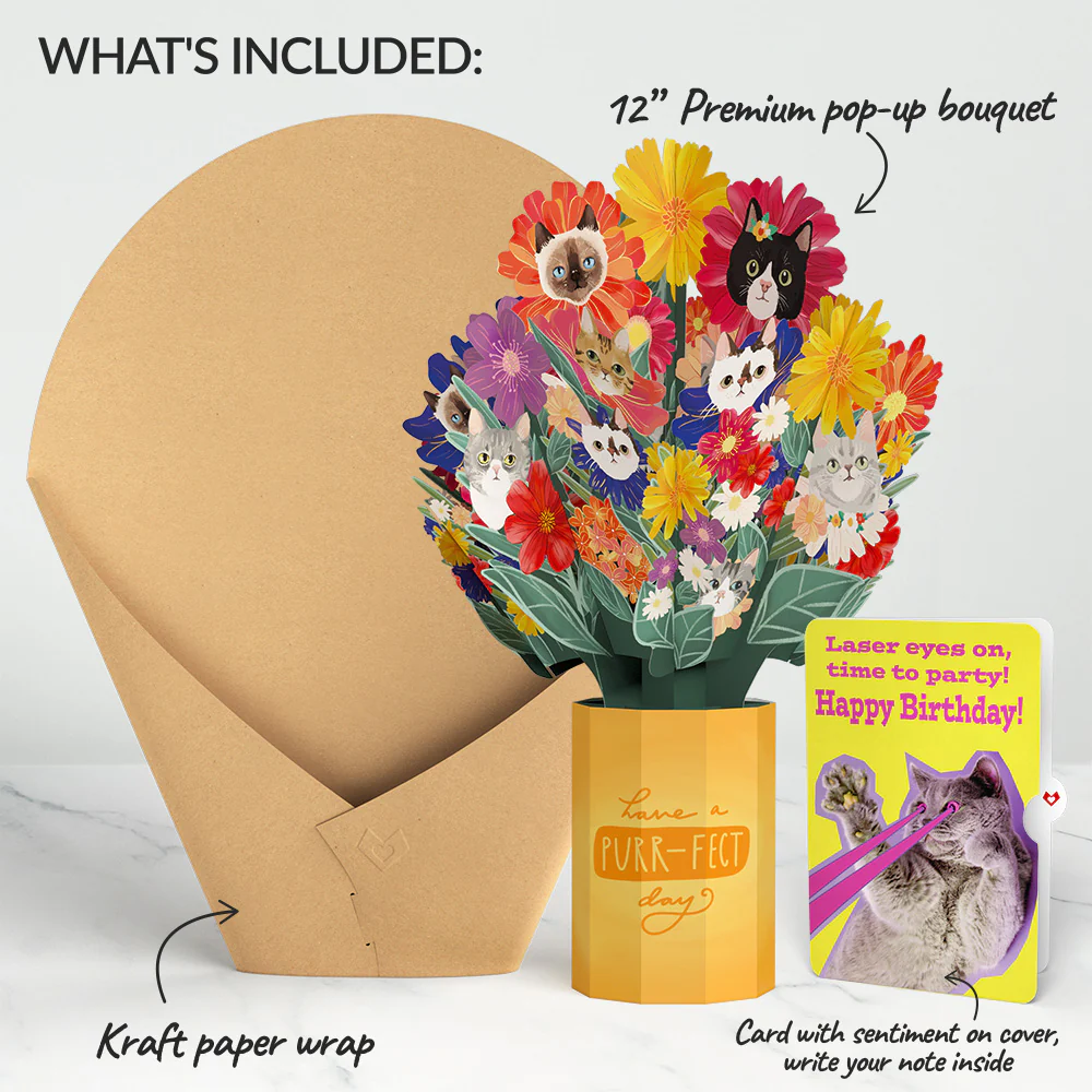 Purr-fect Cat Birthday Bouquet and Cat Laser Eyes Sentiment Set - Image 2