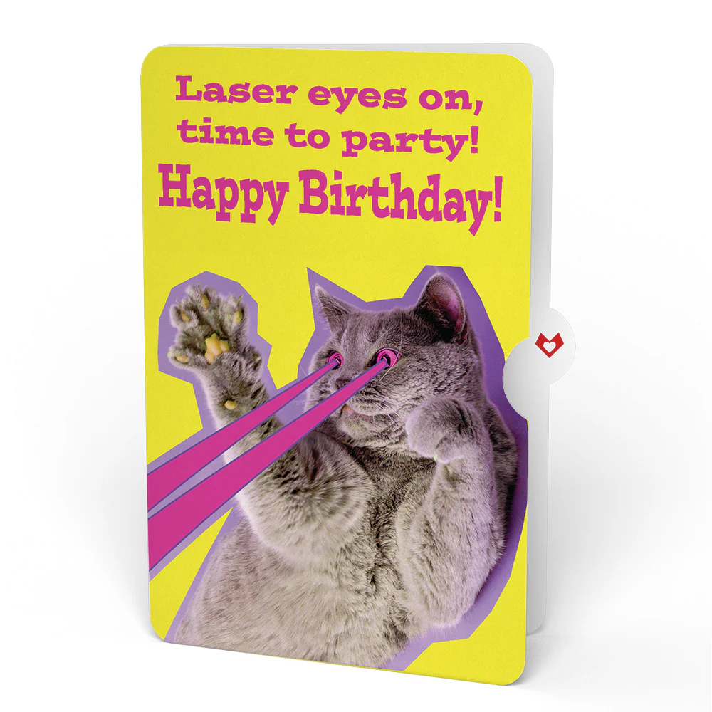 Purr-fect Cat Birthday Bouquet and Cat Laser Eyes Sentiment Set - Image 4