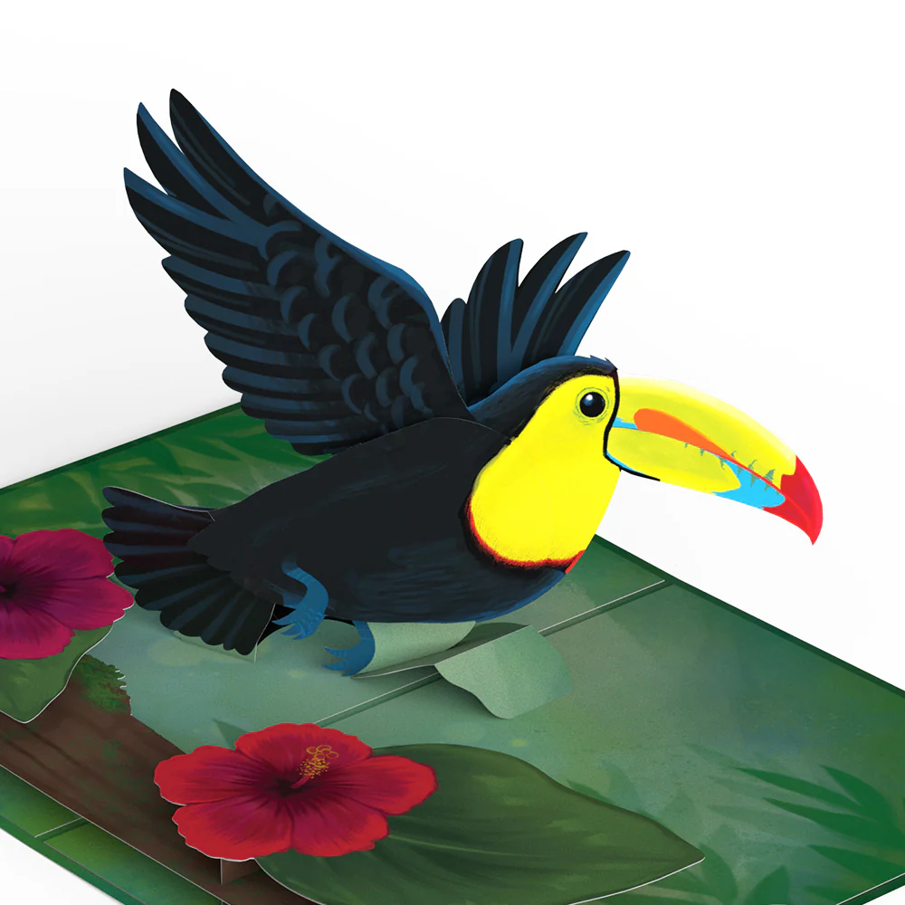 Rainforest Toucan Engagement Pop-Up Card and Hibiscus Sentiment Set - Image 3