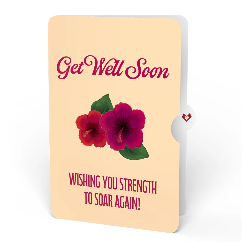 Rainforest Toucan Get Well Soon Pop-Up Card and Hibiscus Sentiment Set - Image 4