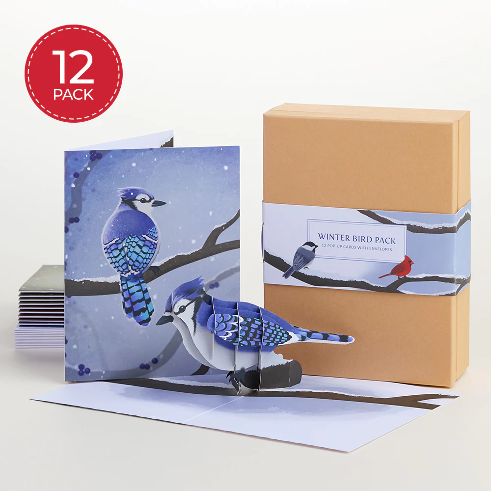Seasonal Birds Box Set Bundle (Assorted 36-Pack): Paperpop® Card - Image 4