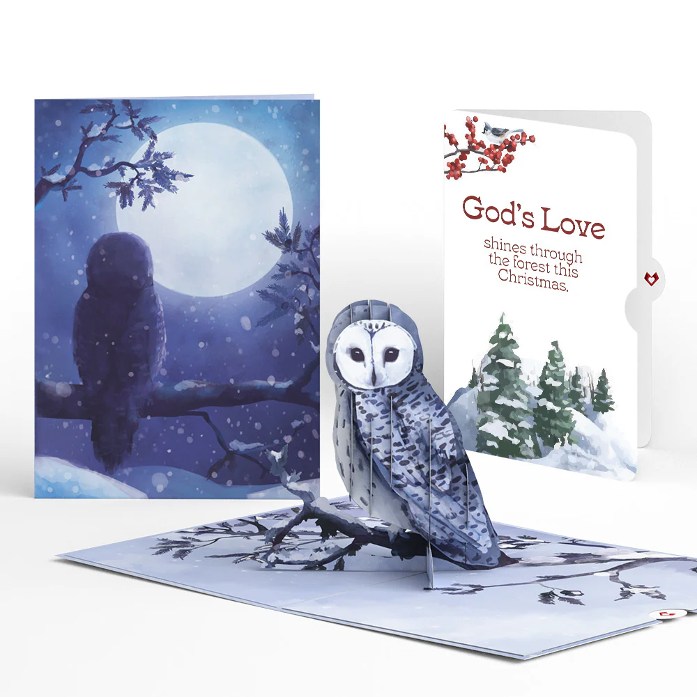 Snowy Owl Christmas Pop-Up Card and God's Love Sentiment Set