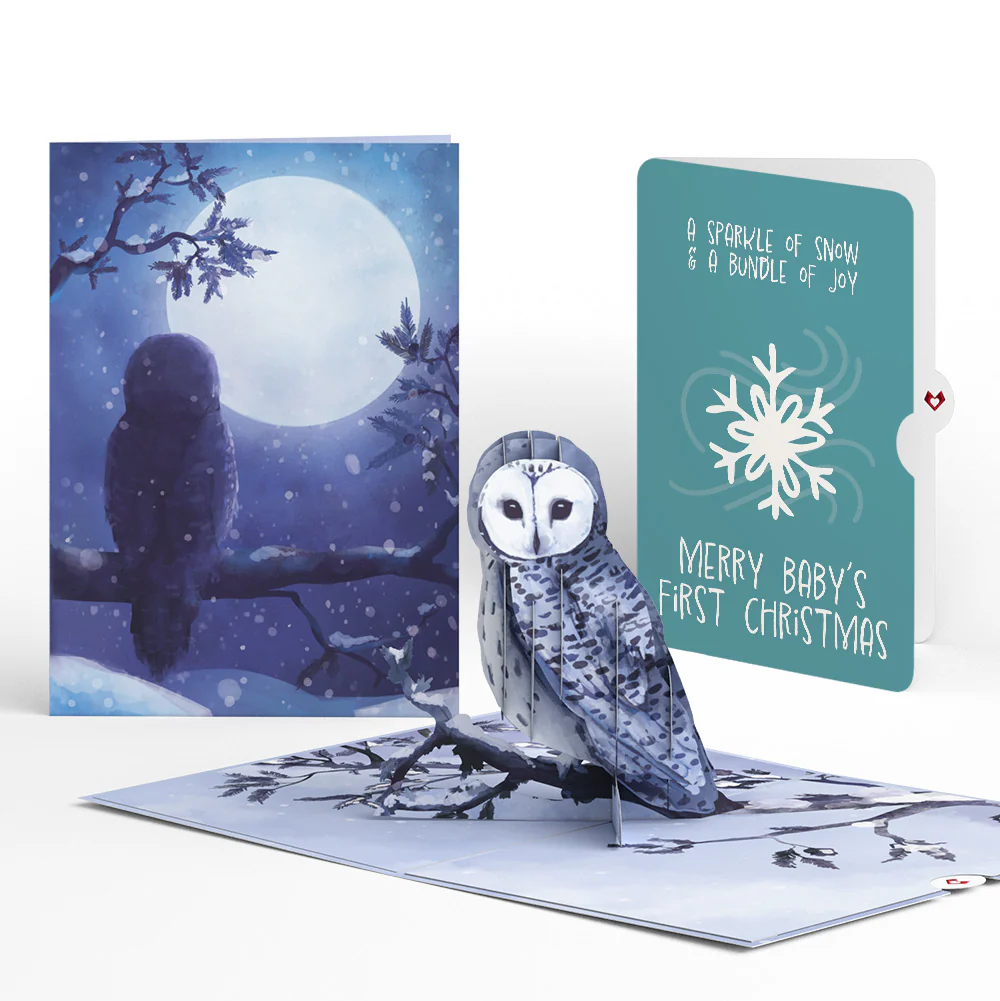 Snowy Owl First Christmas Pop-Up Card and Snowflake Sentiment Set for Baby