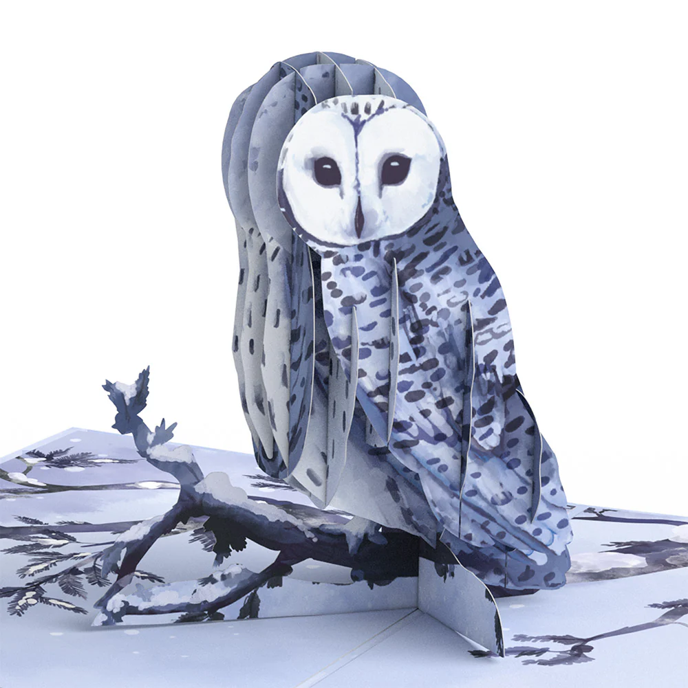 Snowy Owl Winter Pop-Up Card and Sentiment Set for Friend - Image 3
