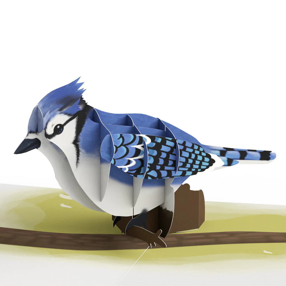 Spring Birds Box Set (Assorted 12-Pack): Paperpop® Card - Image 4