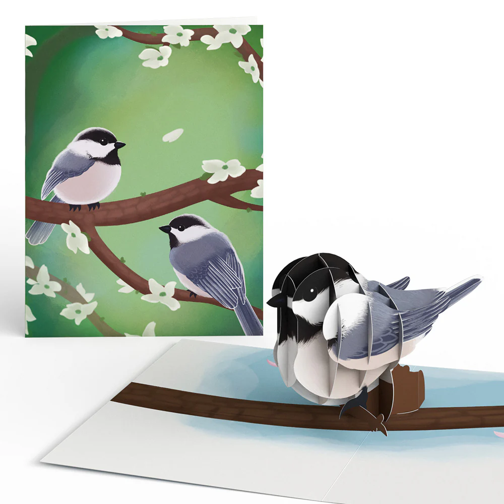 Spring Birds Box Set (Assorted 12-Pack): Paperpop® Card - Image 7