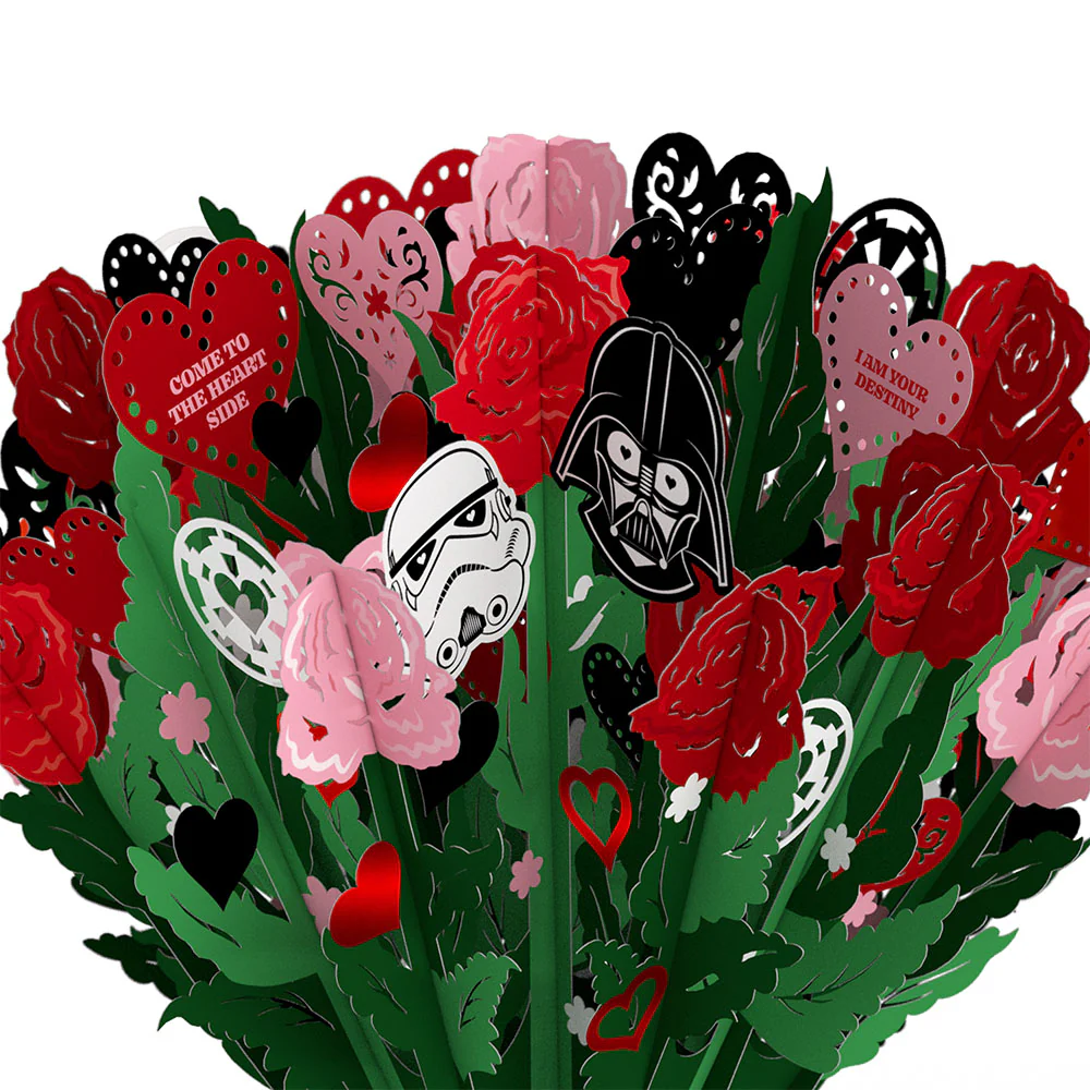 Star Wars™ Darth Vader™ Valentine Bundle - Image 4