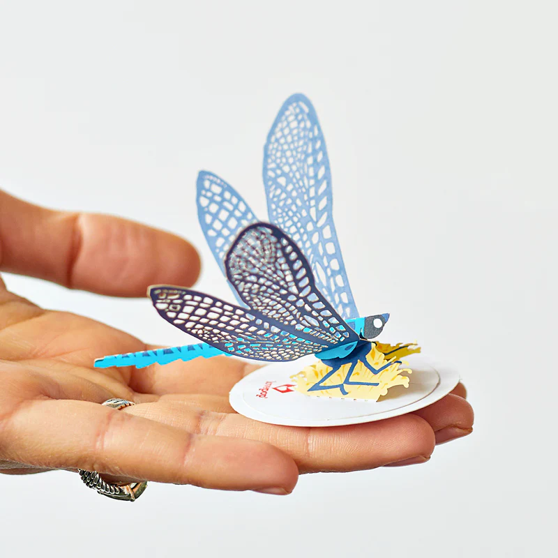 Stickerpop™: Dragonfly (5-Pack) - Image 2