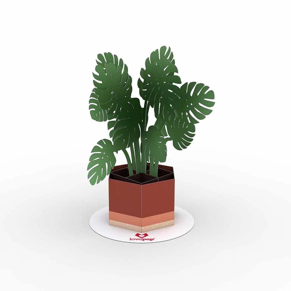 Stickerpop™: Monstera (1-Pack) - Image 2
