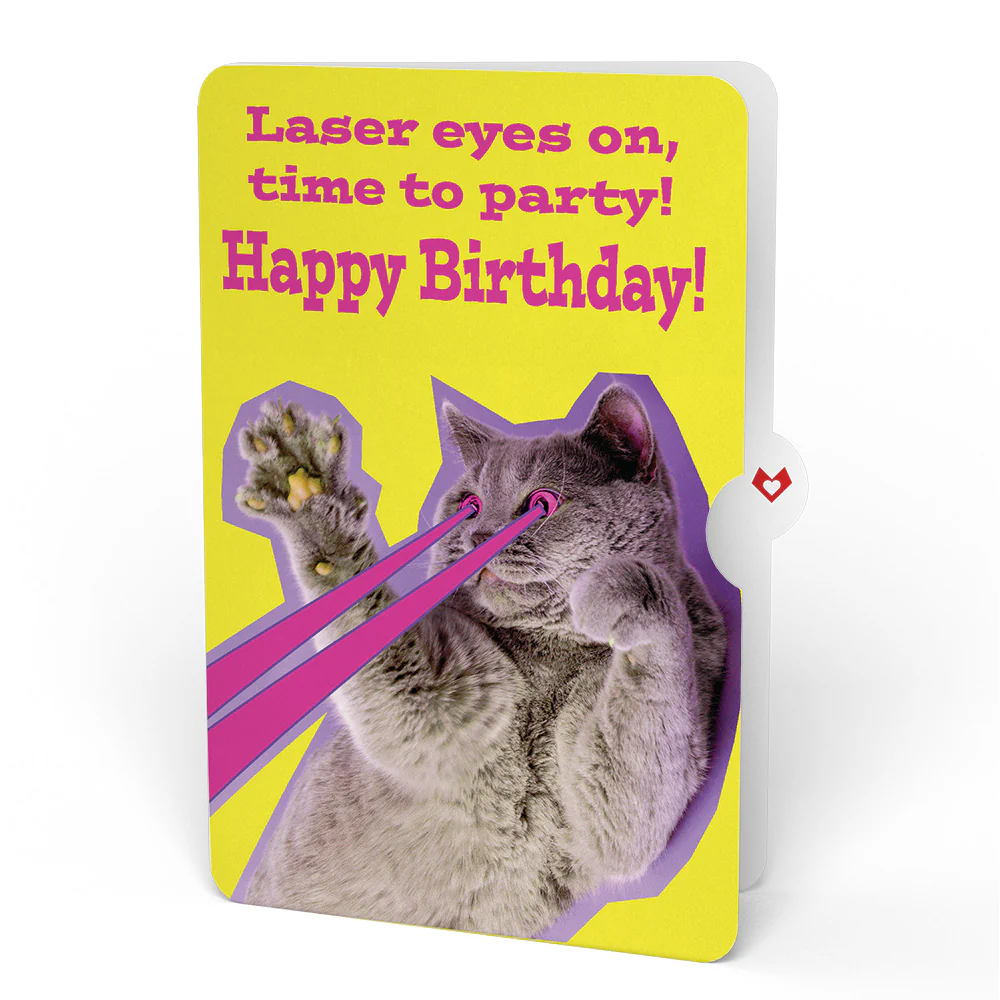 Sweet Birthday Wishes Bouquet and Cat Laser Eyes Sentiment Set - Image 4