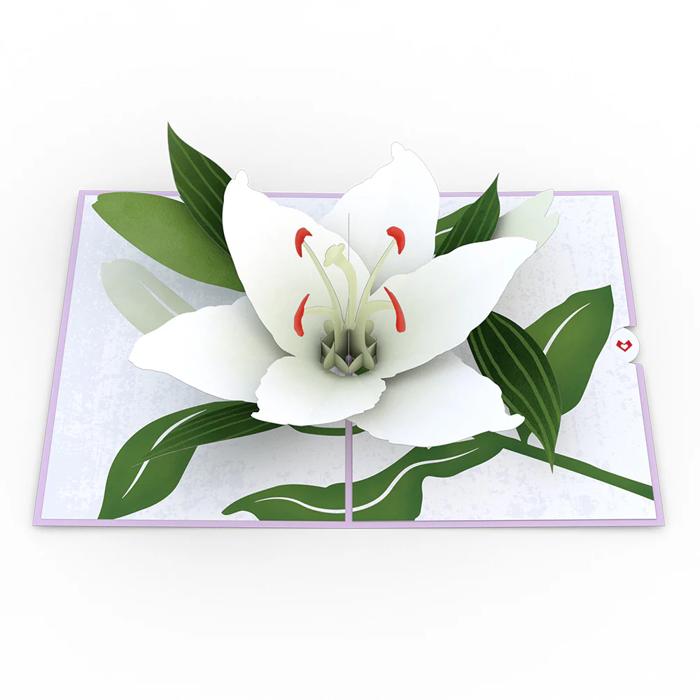 Sympathy Lily Pop-Up Card - Image 3
