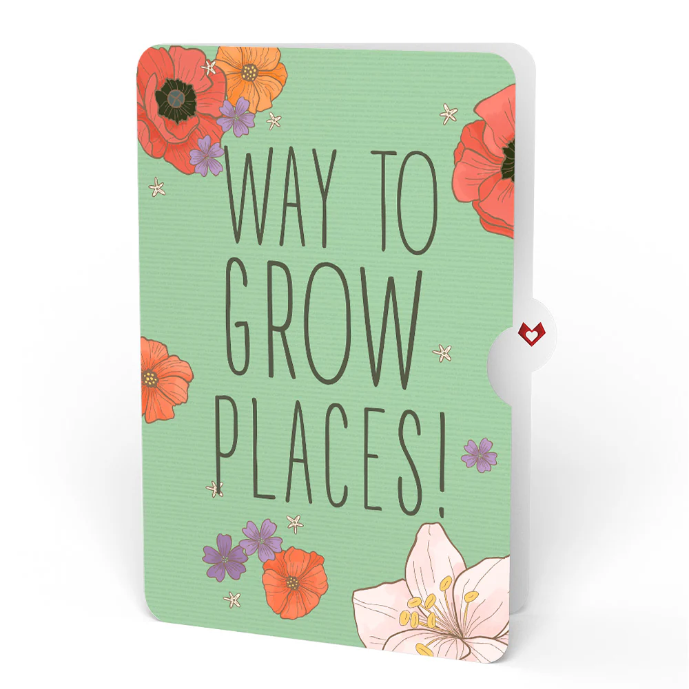 Through the Garden Gate Congratulations Pop-Up Card and Sentiment Set - Image 4